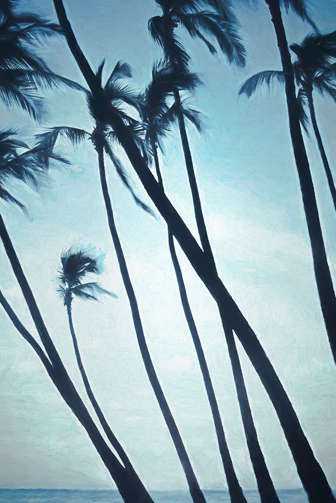 Leaning Palms art print by Don Schwartz for $57.95 CAD