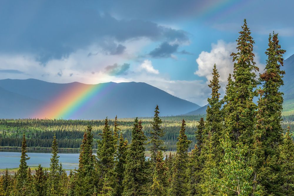 Yukon Rainbow art print by Richard Silver for $57.95 CAD