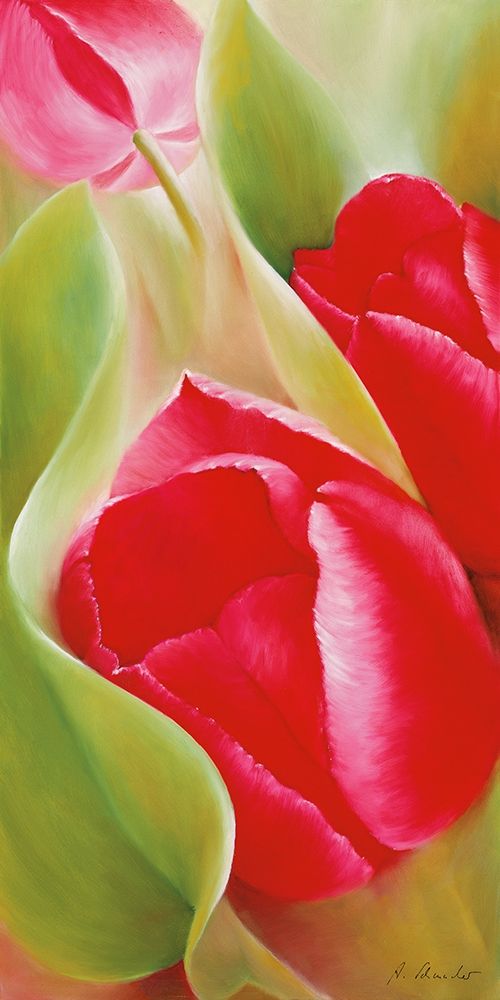 Tulpen I art print by Annette Schmucker for $57.95 CAD