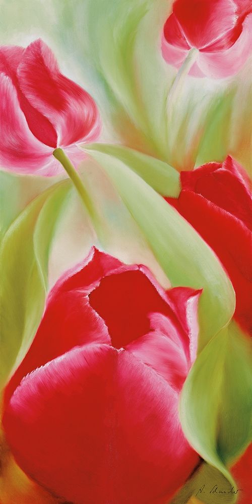 Tulpen II art print by Annette Schmucker for $57.95 CAD