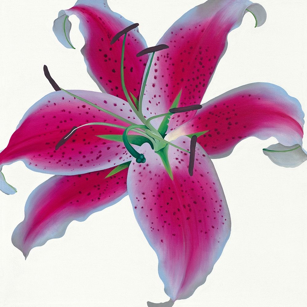 Lily art print by Stephanie Andrew for $57.95 CAD