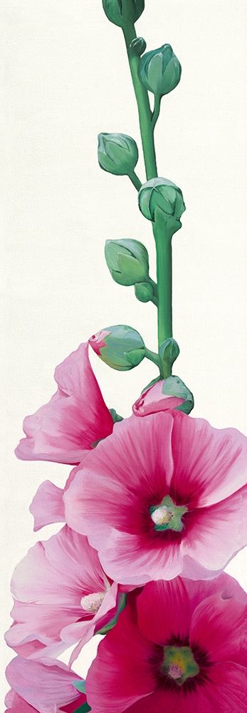 Pink Hollyhock II art print by Stephanie Andrew for $57.95 CAD