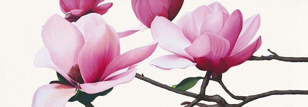 Apollo I (Magnolia) art print by Stephanie Andrew for $57.95 CAD