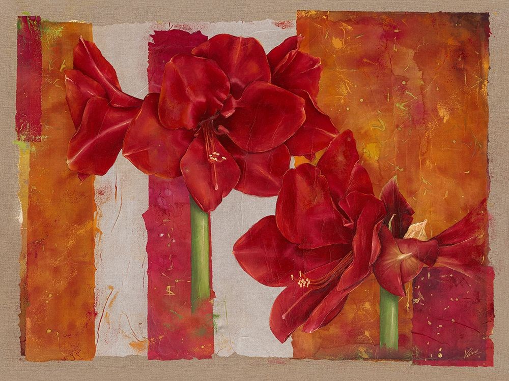 Amaryllis art print by Virginie Cadoret for $57.95 CAD