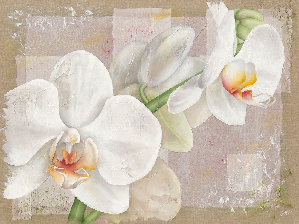 Orchidee art print by Virginie Cadoret for $57.95 CAD
