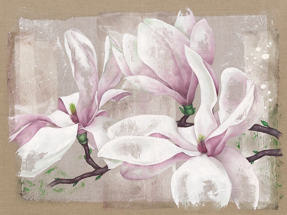 Magnolia art print by Virginie Cadoret for $57.95 CAD