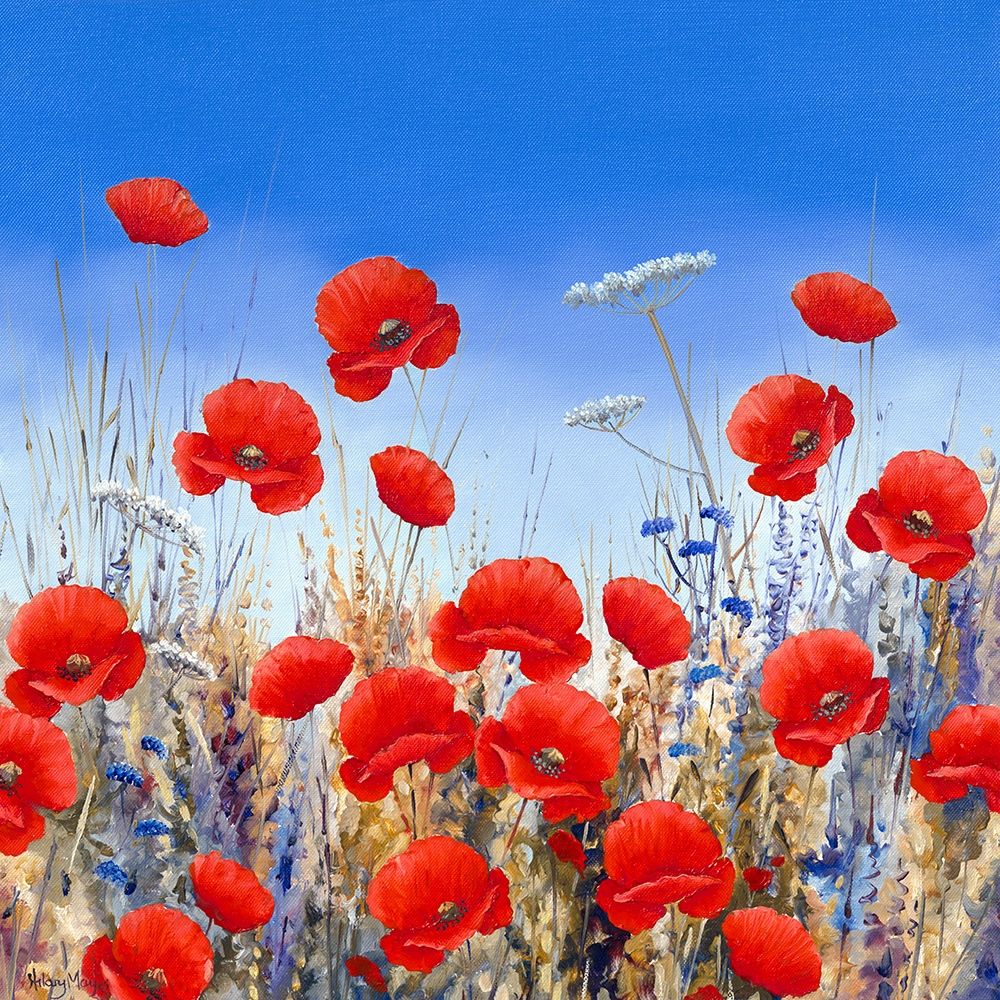 Poppy Meadow II art print by Hilary Mayes for $57.95 CAD