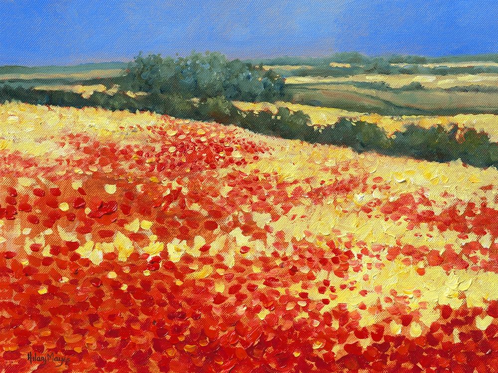 Harvest Poppies art print by Hilary Mayes for $57.95 CAD