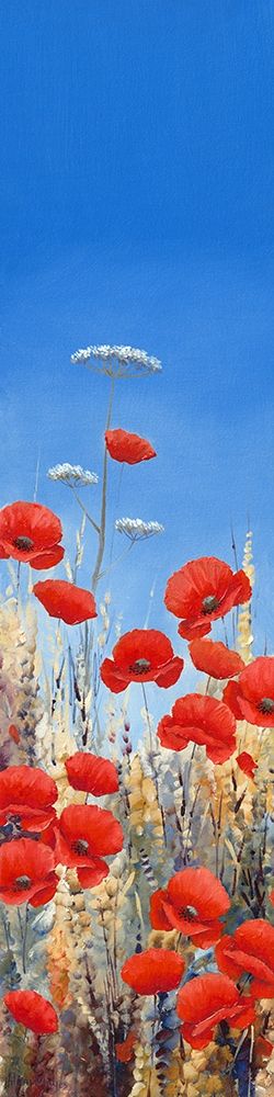 Summer Poppies I art print by Hilary Mayes for $57.95 CAD