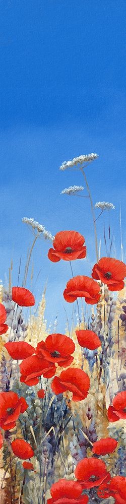 Summer Poppies II art print by Hilary Mayes for $57.95 CAD