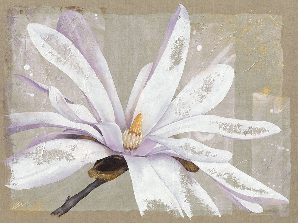 Stellata art print by Virginie Cadoret for $57.95 CAD