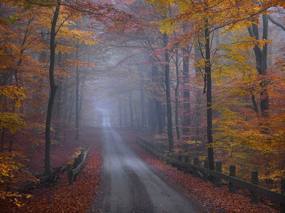 Misty Road art print by Hans Strand for $57.95 CAD