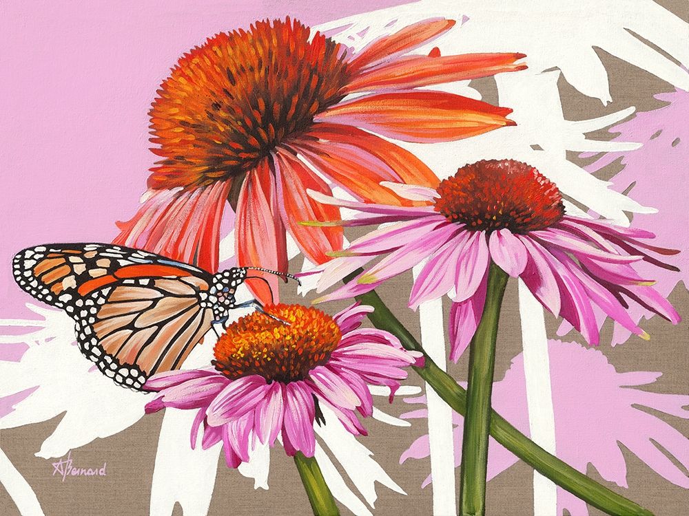 Echinacea art print by Anne Bernard for $57.95 CAD
