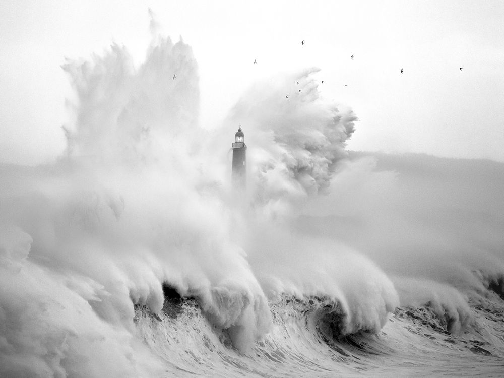 Birds in the Storm art print by Marina Cano for $57.95 CAD