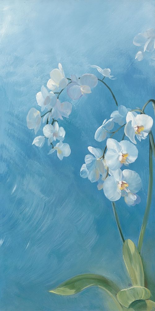 Phalaenopsis Fontaine I art print by Sylvie Vernageau for $57.95 CAD