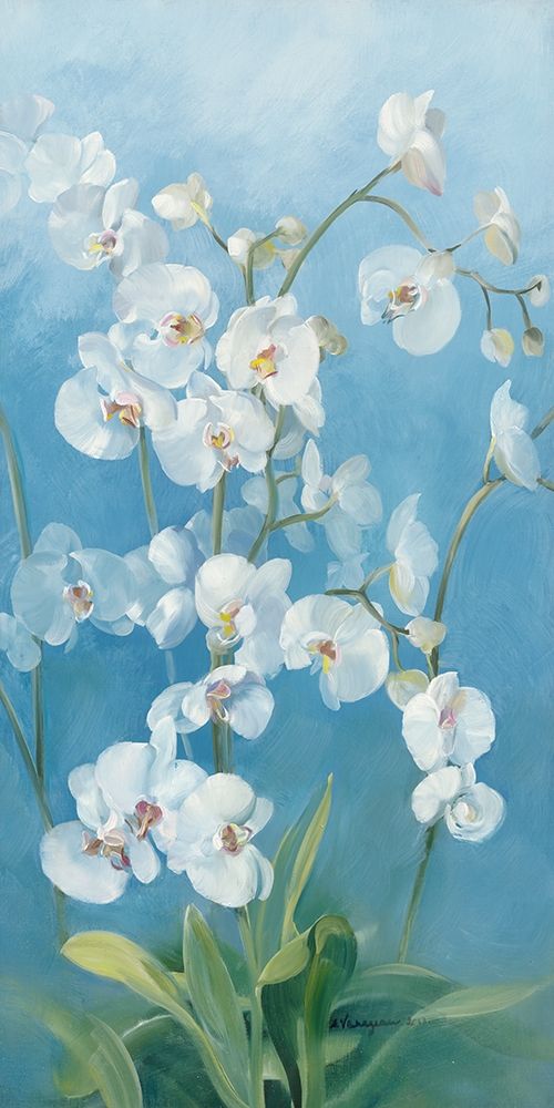 Phalaenopsis Fontaine II art print by Sylvie Vernageau for $57.95 CAD