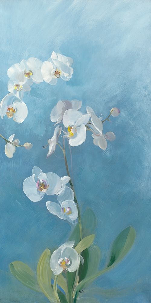 Phalaenopsis Fontaine III art print by Sylvie Vernageau for $57.95 CAD