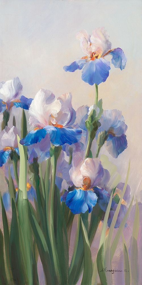 Iris French Cancan art print by Sylvie Vernageau for $57.95 CAD
