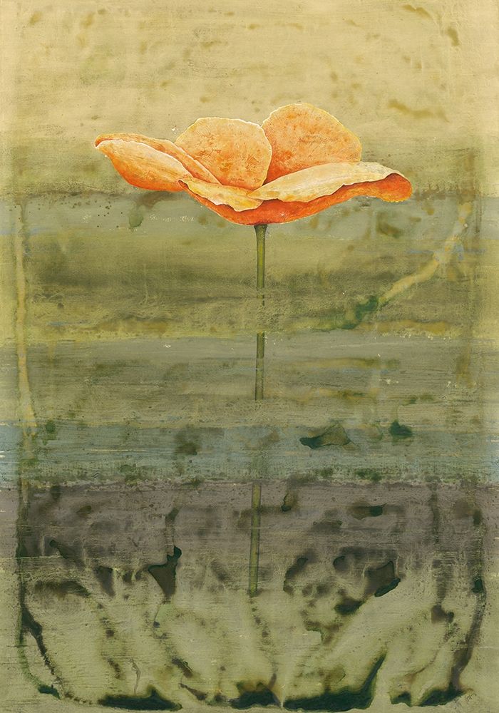 Papaver art print by Clema for $57.95 CAD