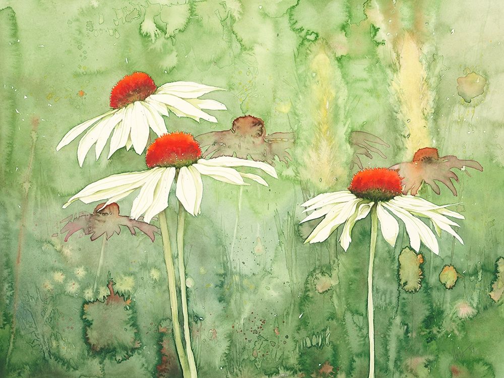 Echinacea one art print by Clema for $57.95 CAD