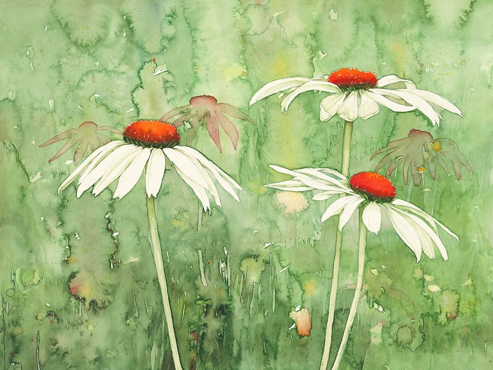 Echinacea two art print by Clema for $57.95 CAD