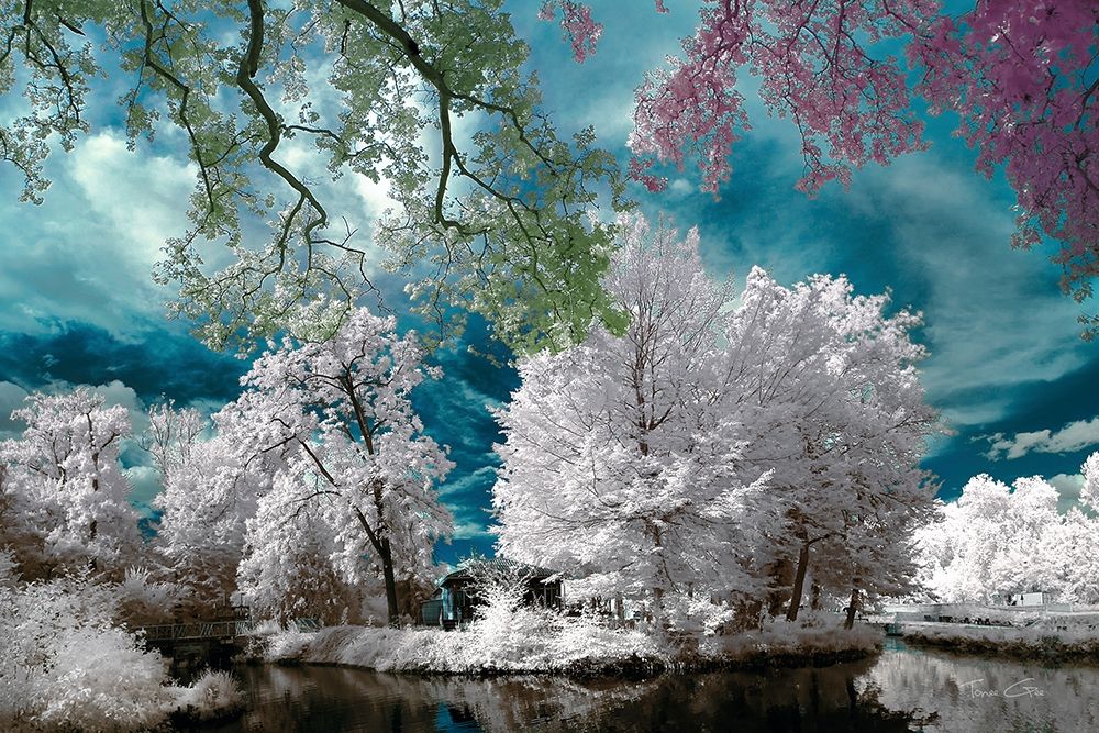 Cayac,Gradignan - Infrared Photography  art print by Tonee Gee for $57.95 CAD