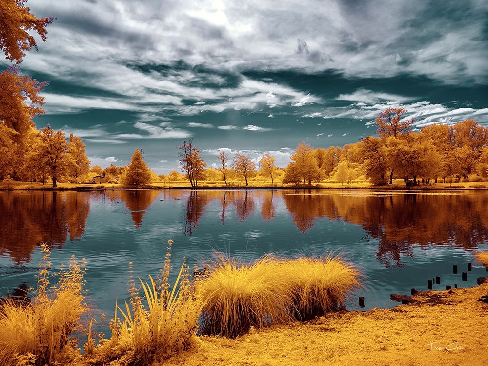 Majolan s Park Reflections II-Bordeaux - Infrared and UV Photography  art print by Tonee Gee for $57.95 CAD
