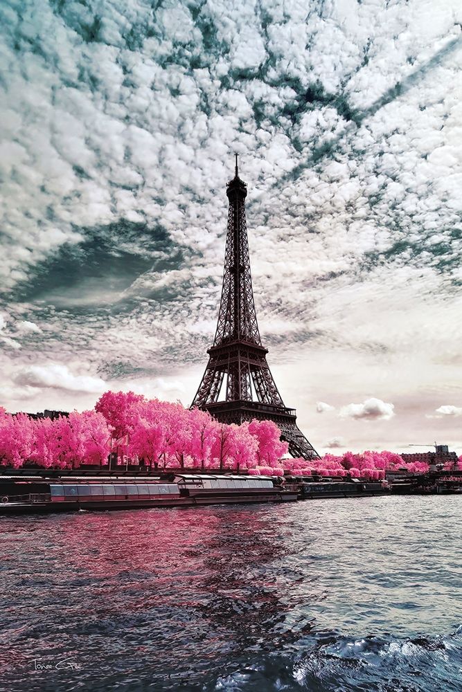 IR on Lady-Paris - Infrared Photography  art print by Tonee Gee for $57.95 CAD
