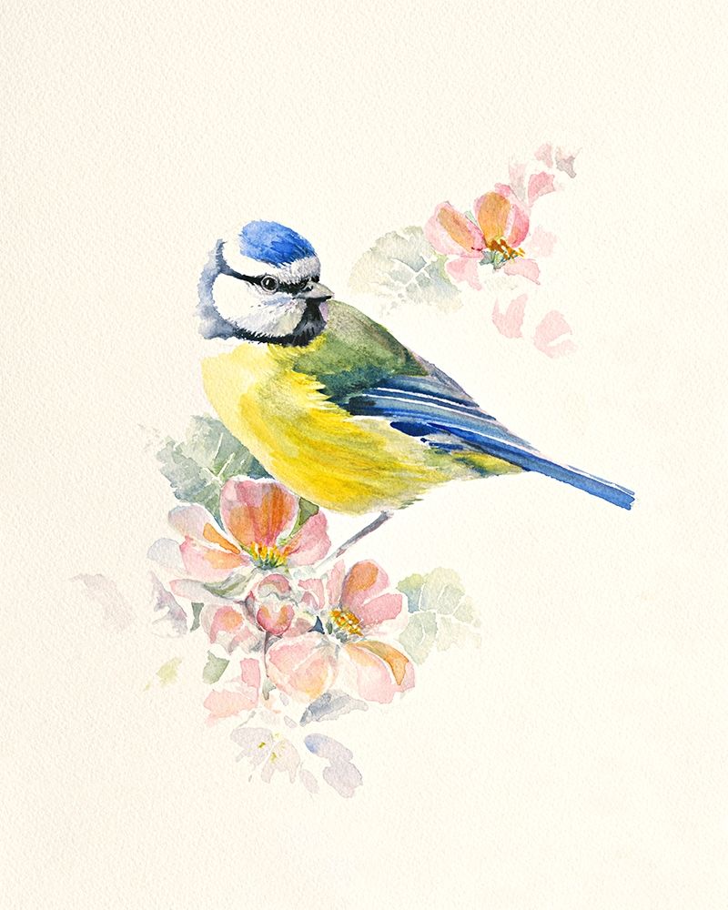 Blue Tit art print by Hilary Mayes for $57.95 CAD