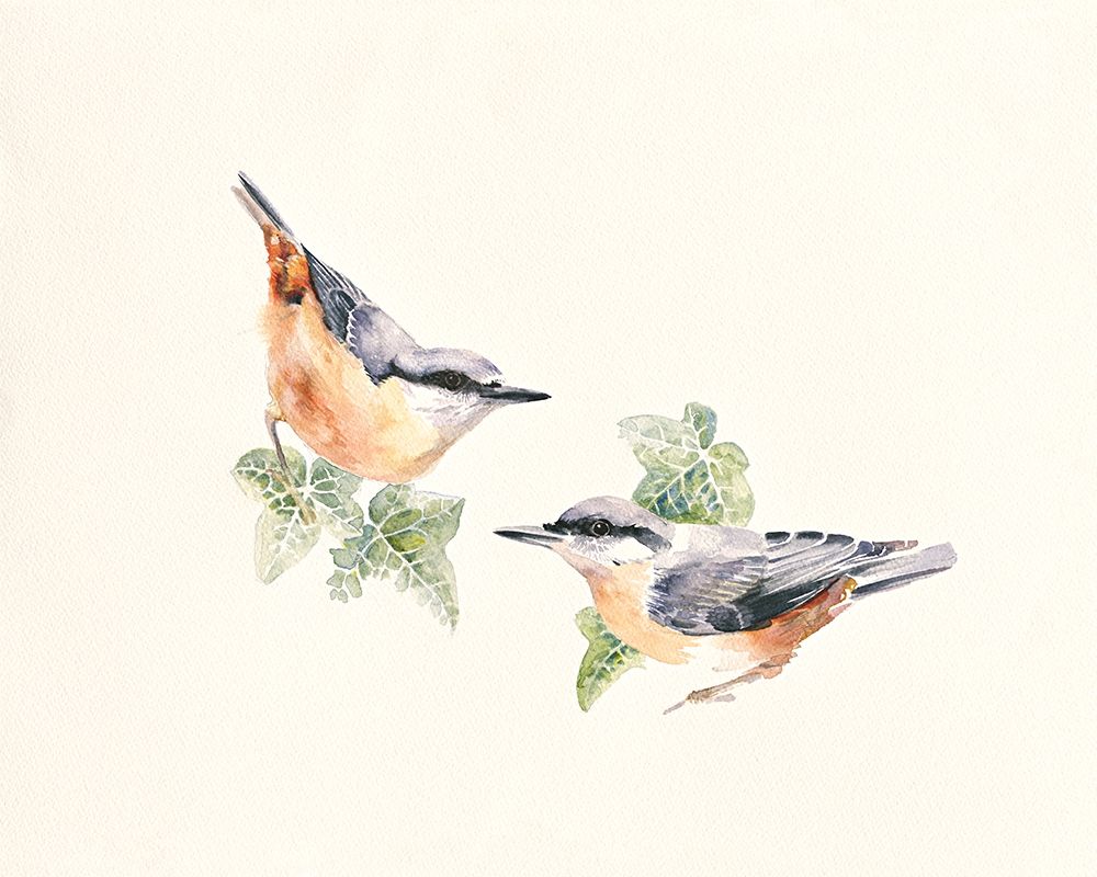 Nuthatches art print by Hilary Mayes for $57.95 CAD
