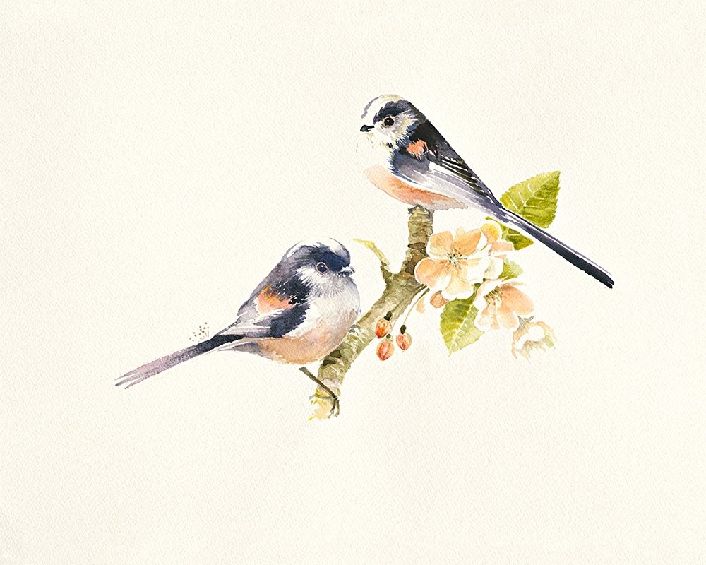 Longtailed Tits art print by Hilary Mayes for $57.95 CAD