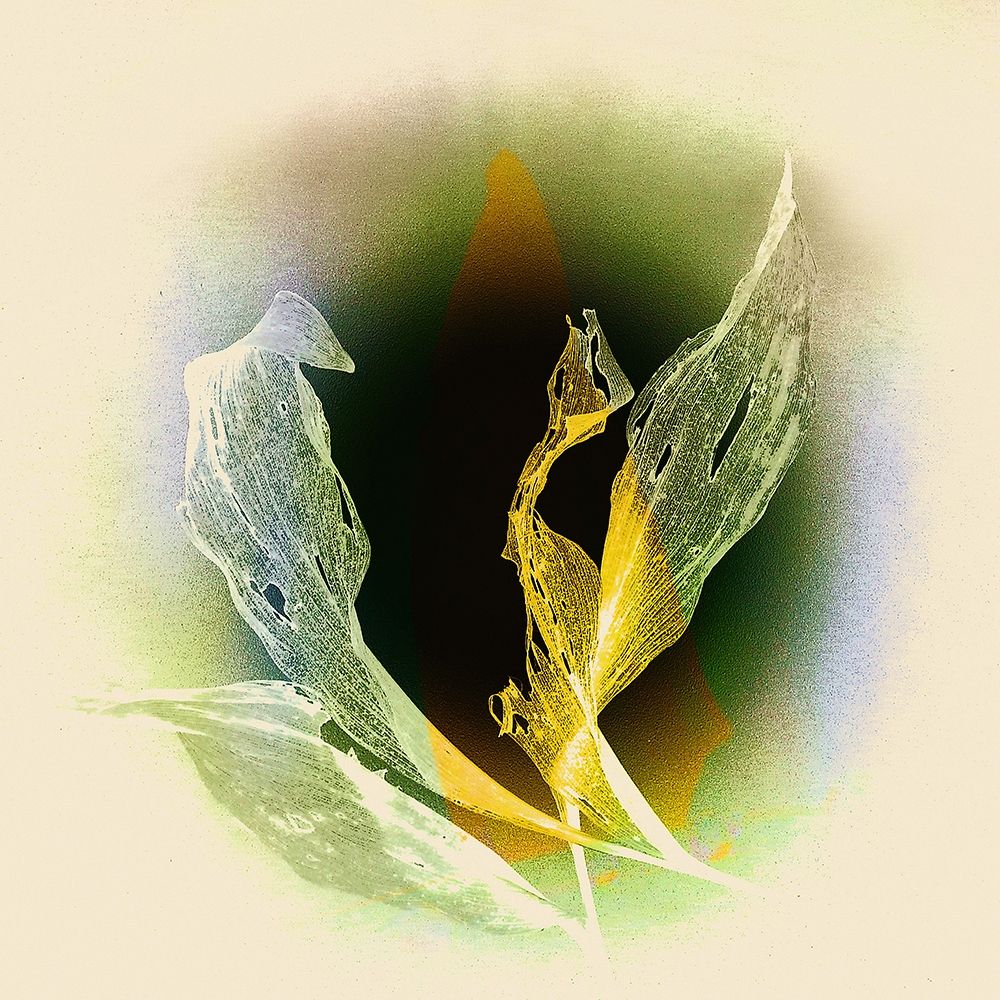 Verdeckt art print by Matthias Baumann for $57.95 CAD