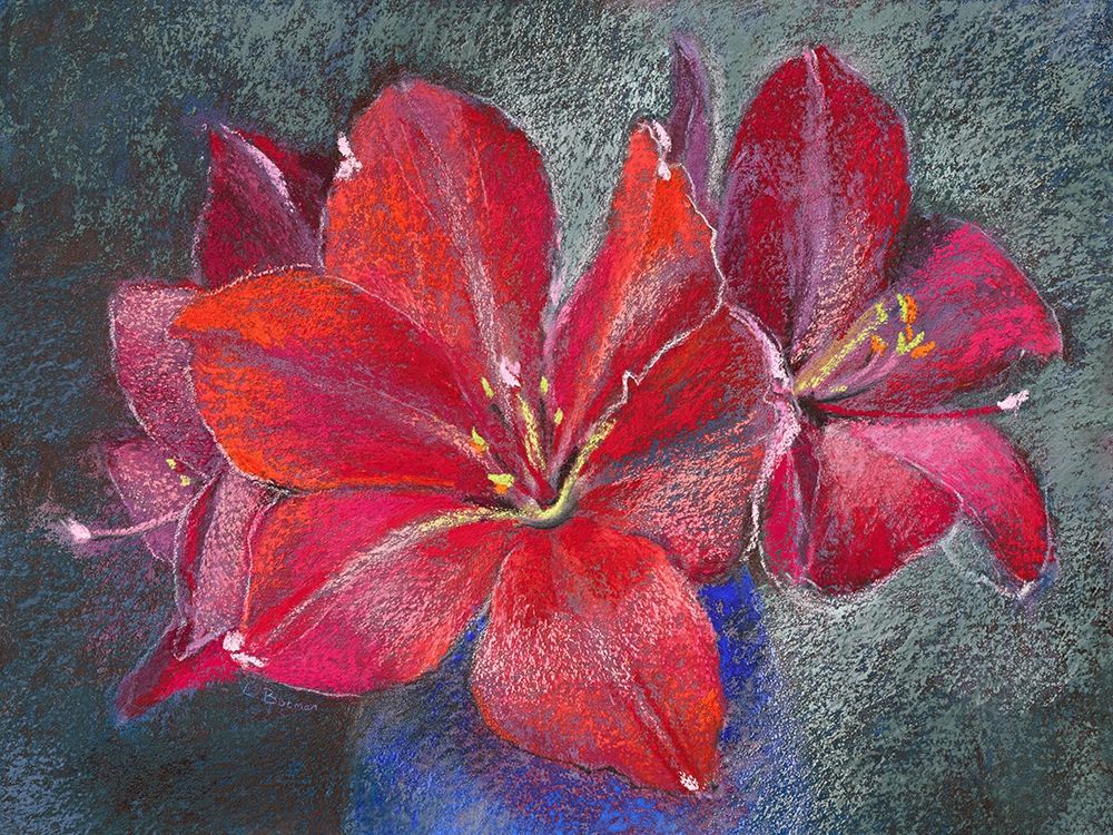 Amaryllis art print by Loes Botman for $57.95 CAD