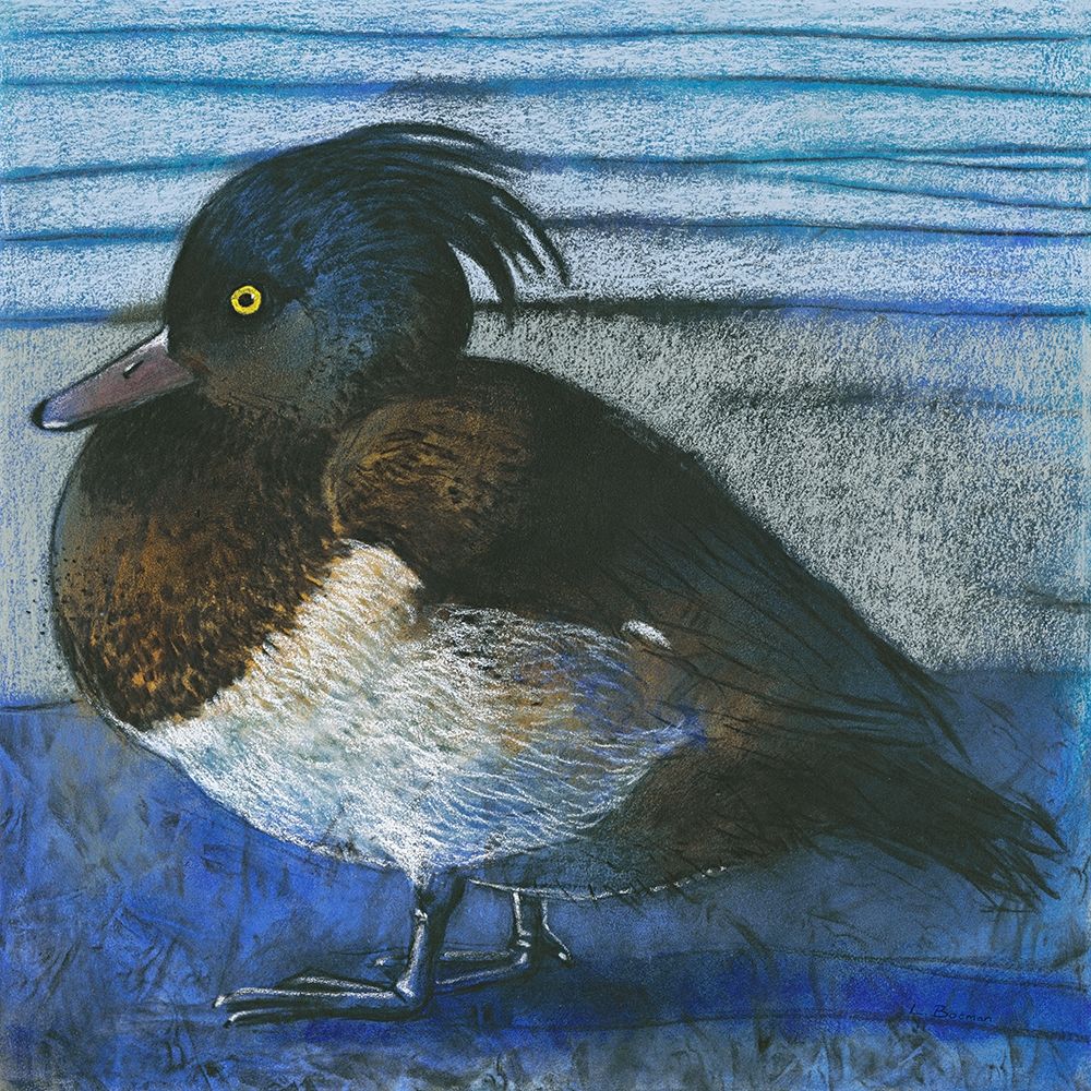 Tufted Duck art print by Loes Botman for $57.95 CAD