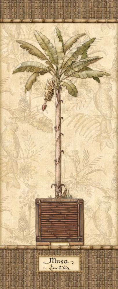 Botanical Palm IV art print by Charlene Audrey for $57.95 CAD
