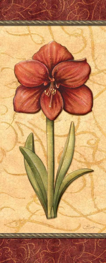 Red Passion Amaryllis art print by Charlene Audrey for $57.95 CAD