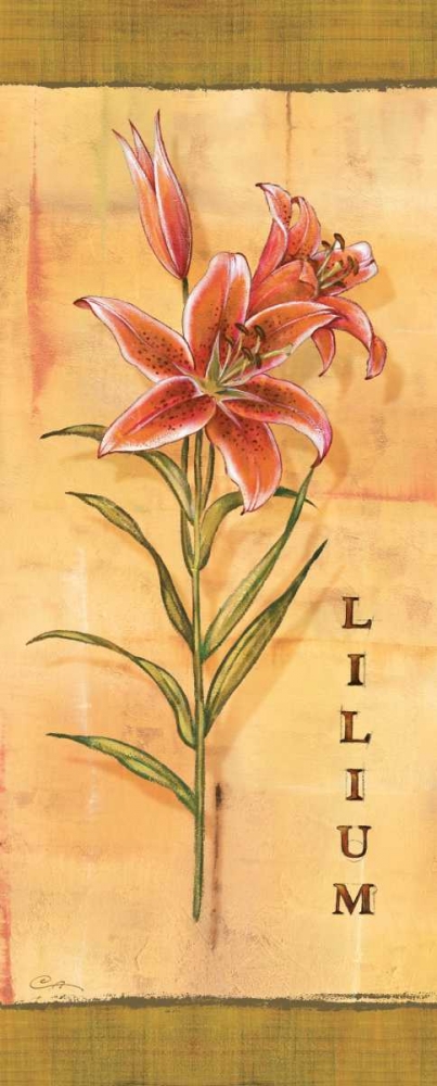 Les Lys III art print by Charlene Audrey for $57.95 CAD