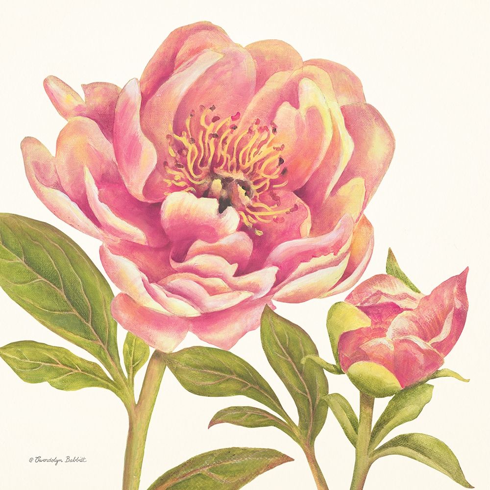 Pink Peonies I art print by Gwendolyn Babbitt for $57.95 CAD