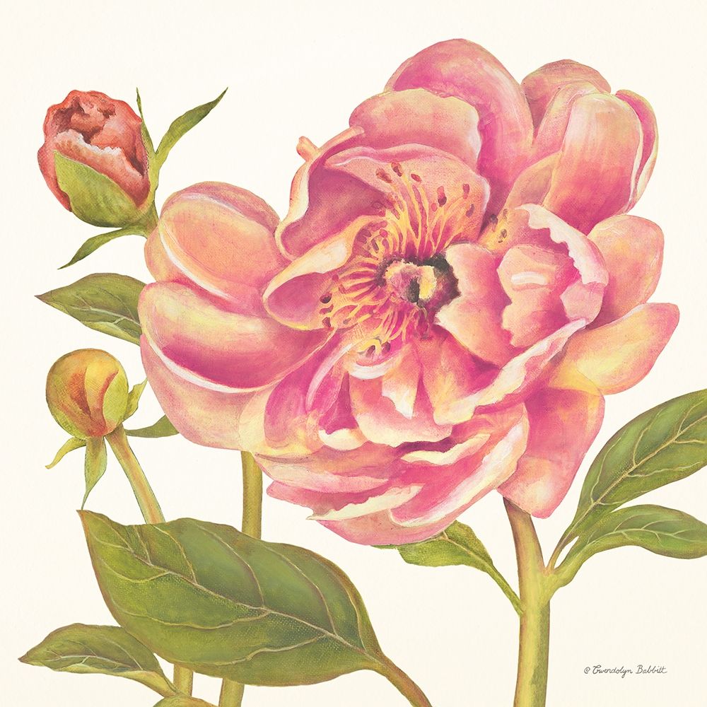Pink Peonies II art print by Gwendolyn Babbitt for $57.95 CAD
