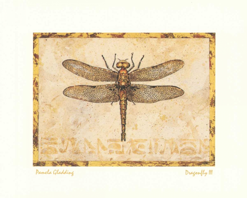 Dragonfly III art print by Pamela Gladding for $57.95 CAD