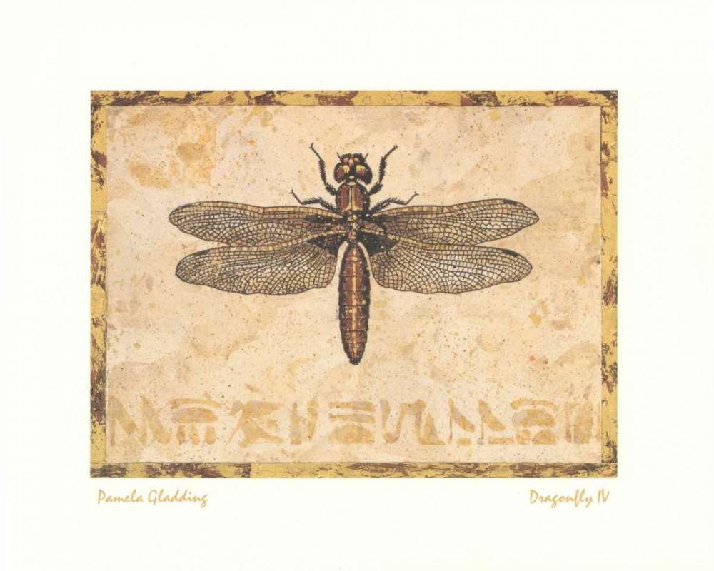 Dragonfly IV art print by Pamela Gladding for $57.95 CAD