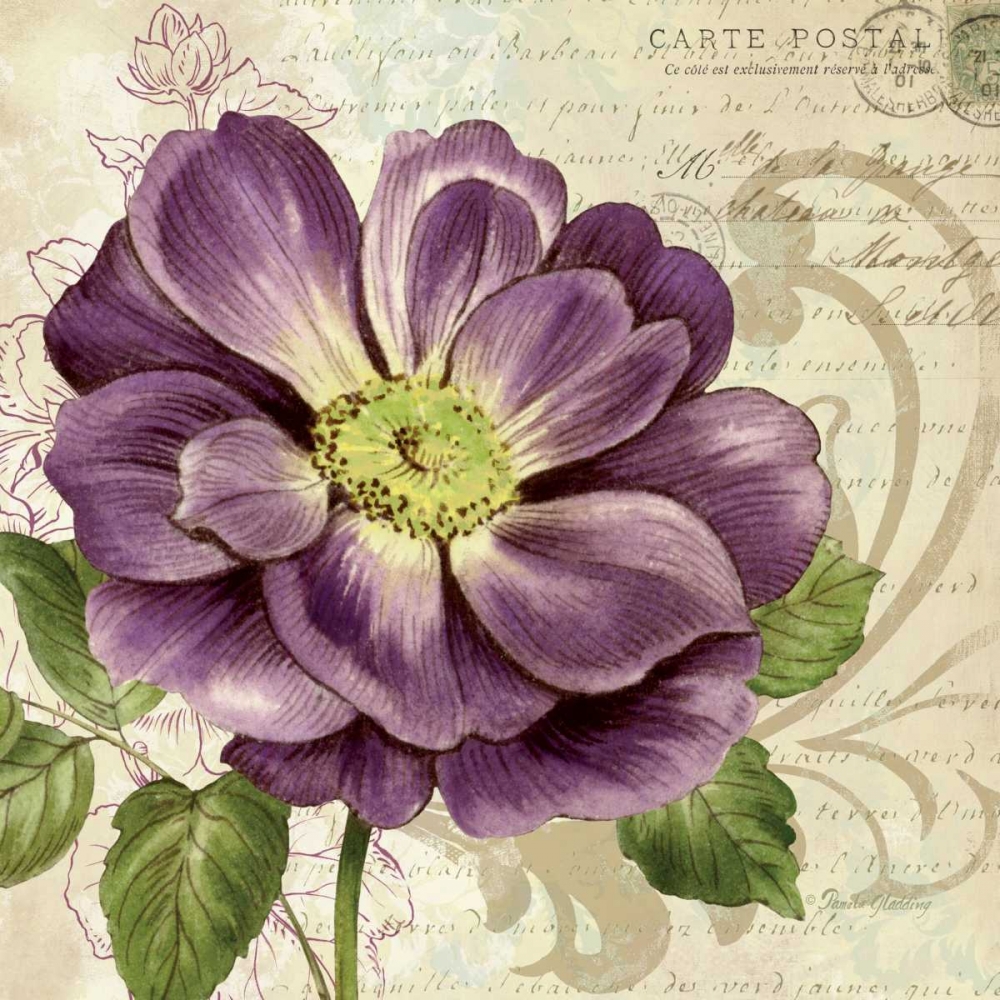 Study in Purple I art print by Pamela Gladding for $57.95 CAD