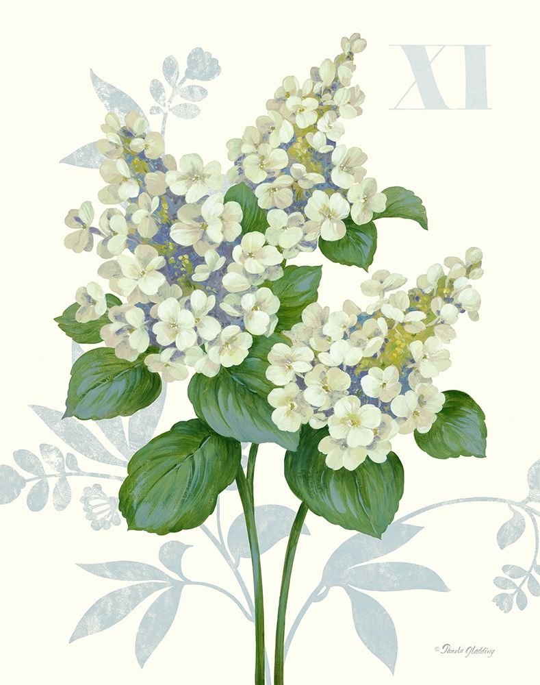 Tardiva Hydrangea art print by Pamela Gladding for $57.95 CAD