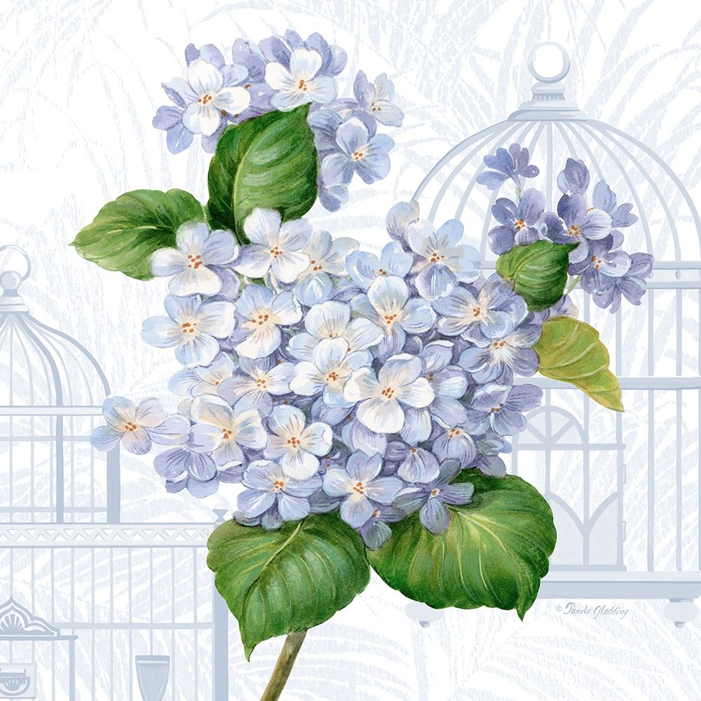 Hydrangea Cages I art print by Pamela Gladding for $57.95 CAD
