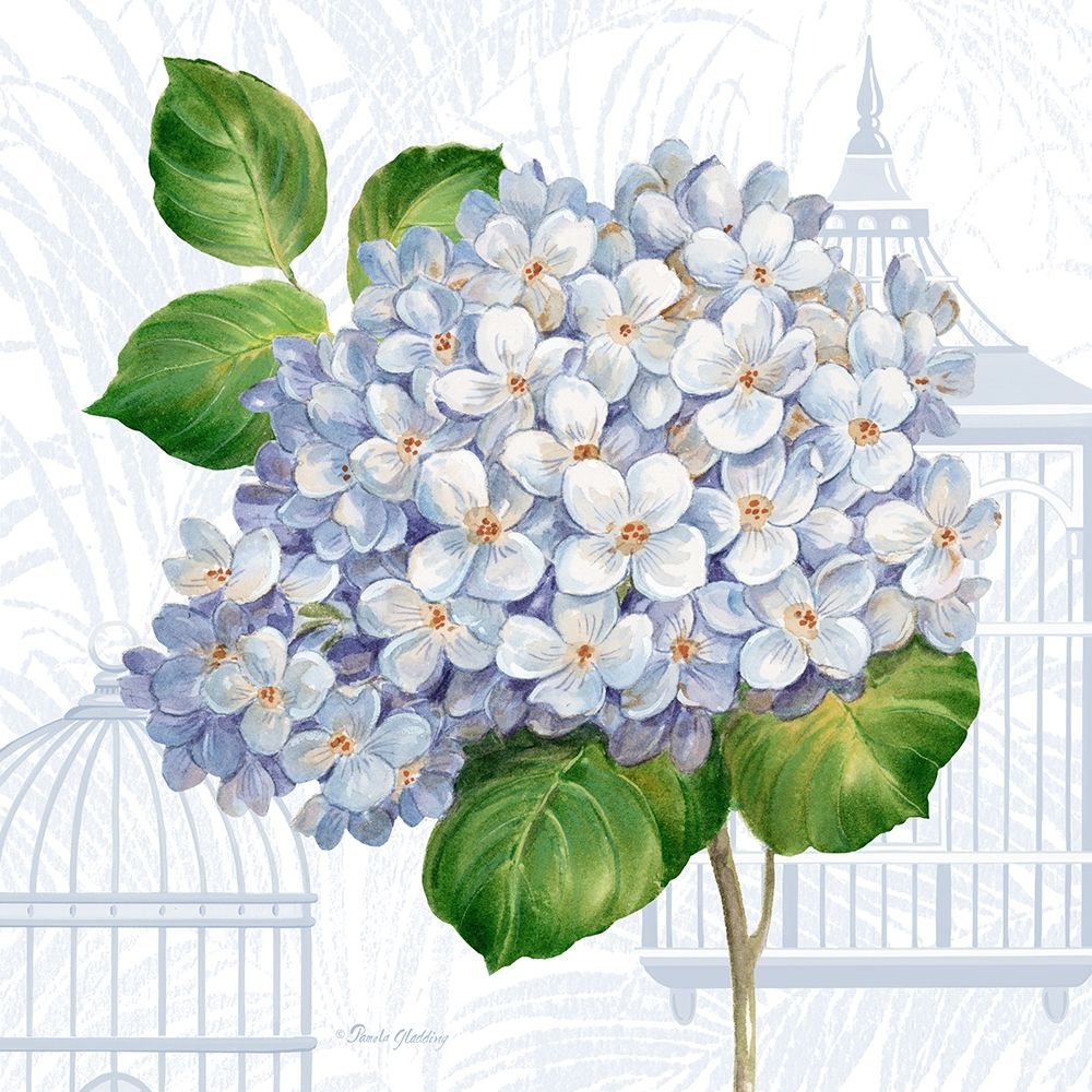 Hydrangea Cages II art print by Pamela Gladding for $57.95 CAD