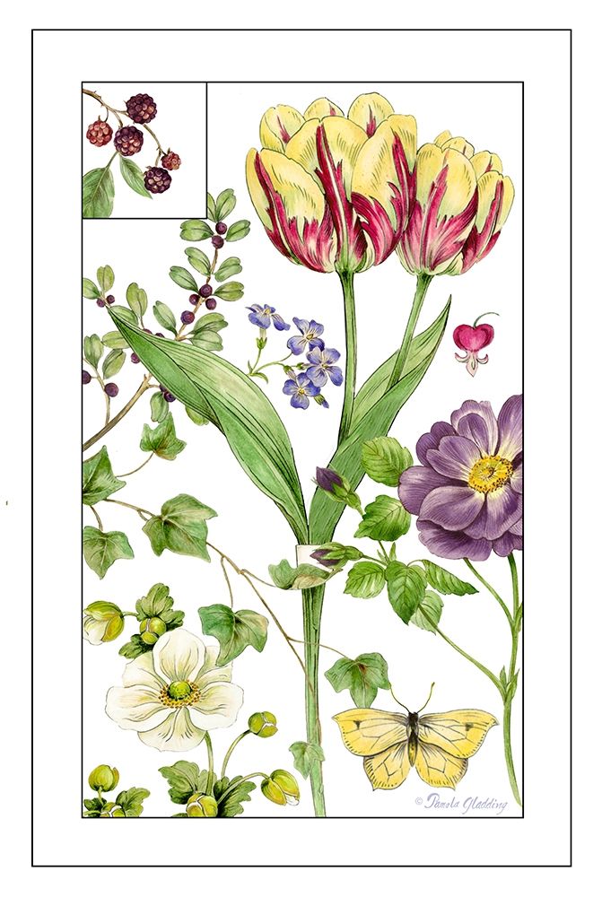 Print Botanical III art print by Pamela Gladding for $57.95 CAD