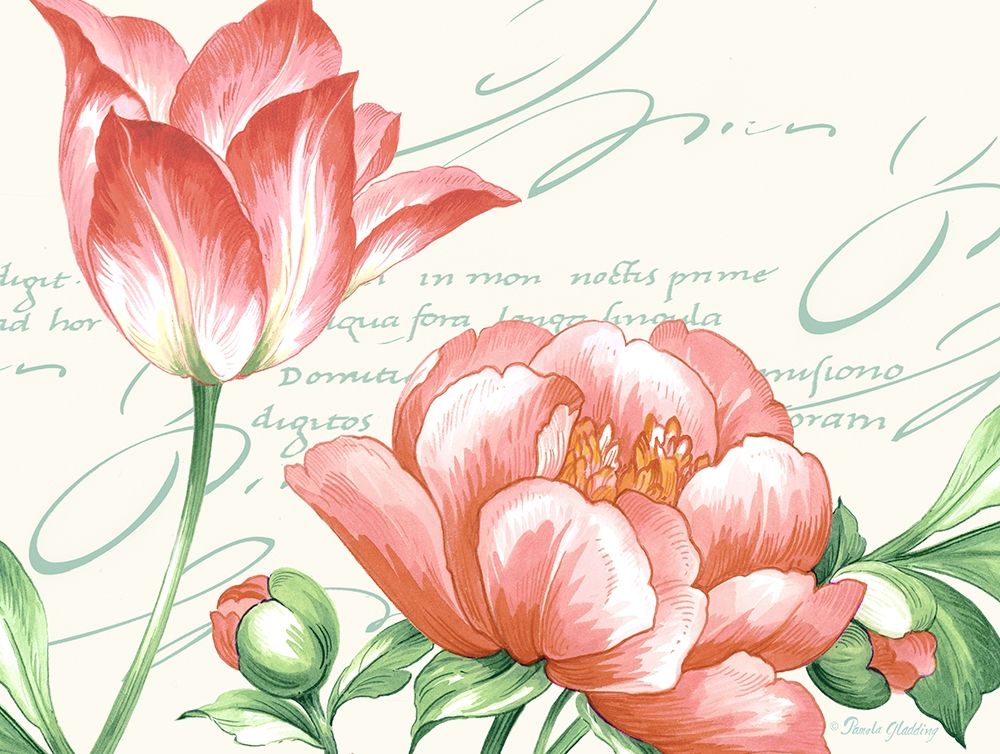 Pink Blossoms I art print by Pamela Gladding for $57.95 CAD