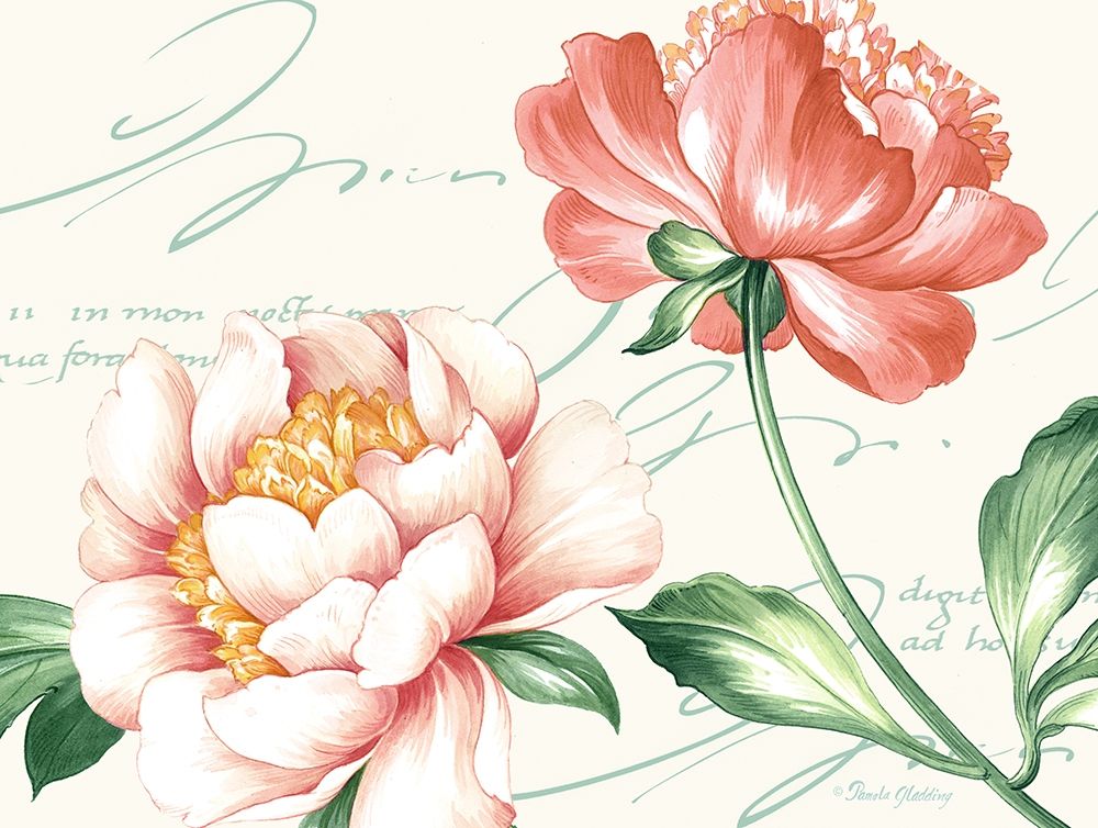 Pink Blossoms II art print by Pamela Gladding for $57.95 CAD