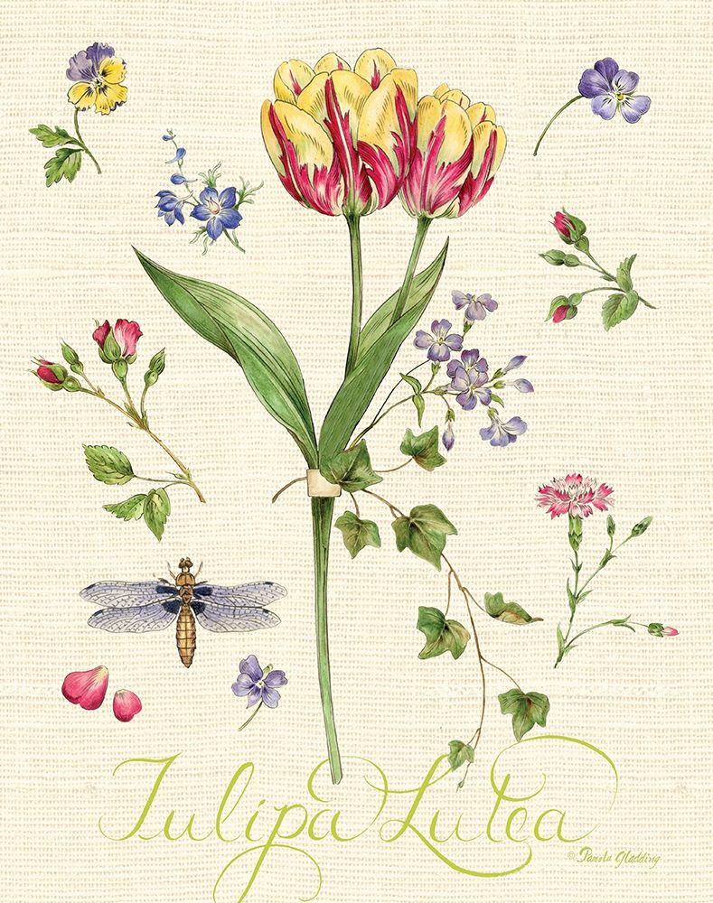Lang of Flowers I art print by Pamela Gladding for $57.95 CAD