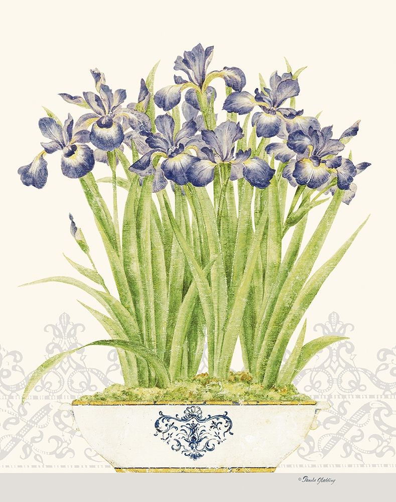 Imperial Irises art print by Pamela Gladding for $57.95 CAD